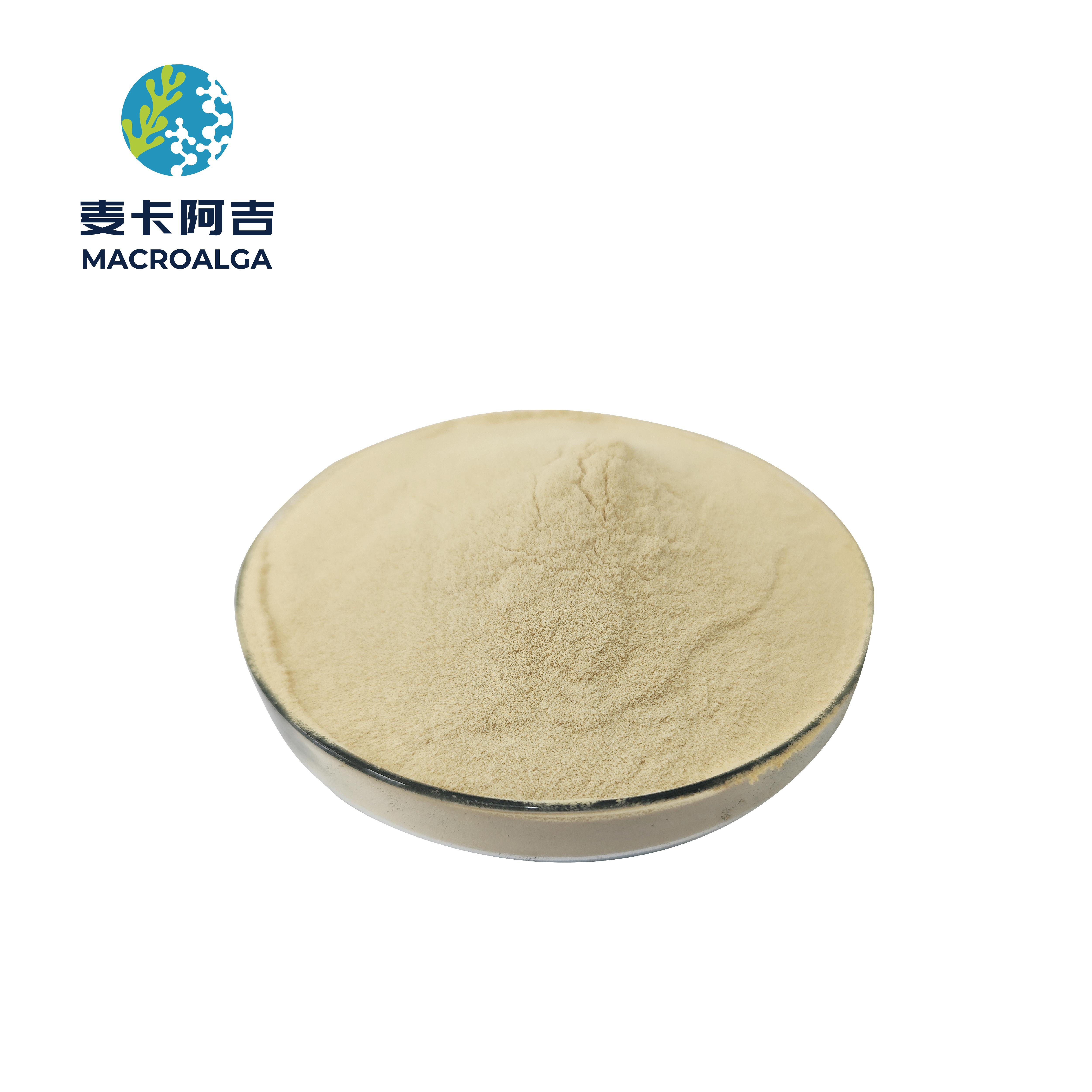 Reliable Protein Hydrolysate Supplier for Your Nutritional Formulations