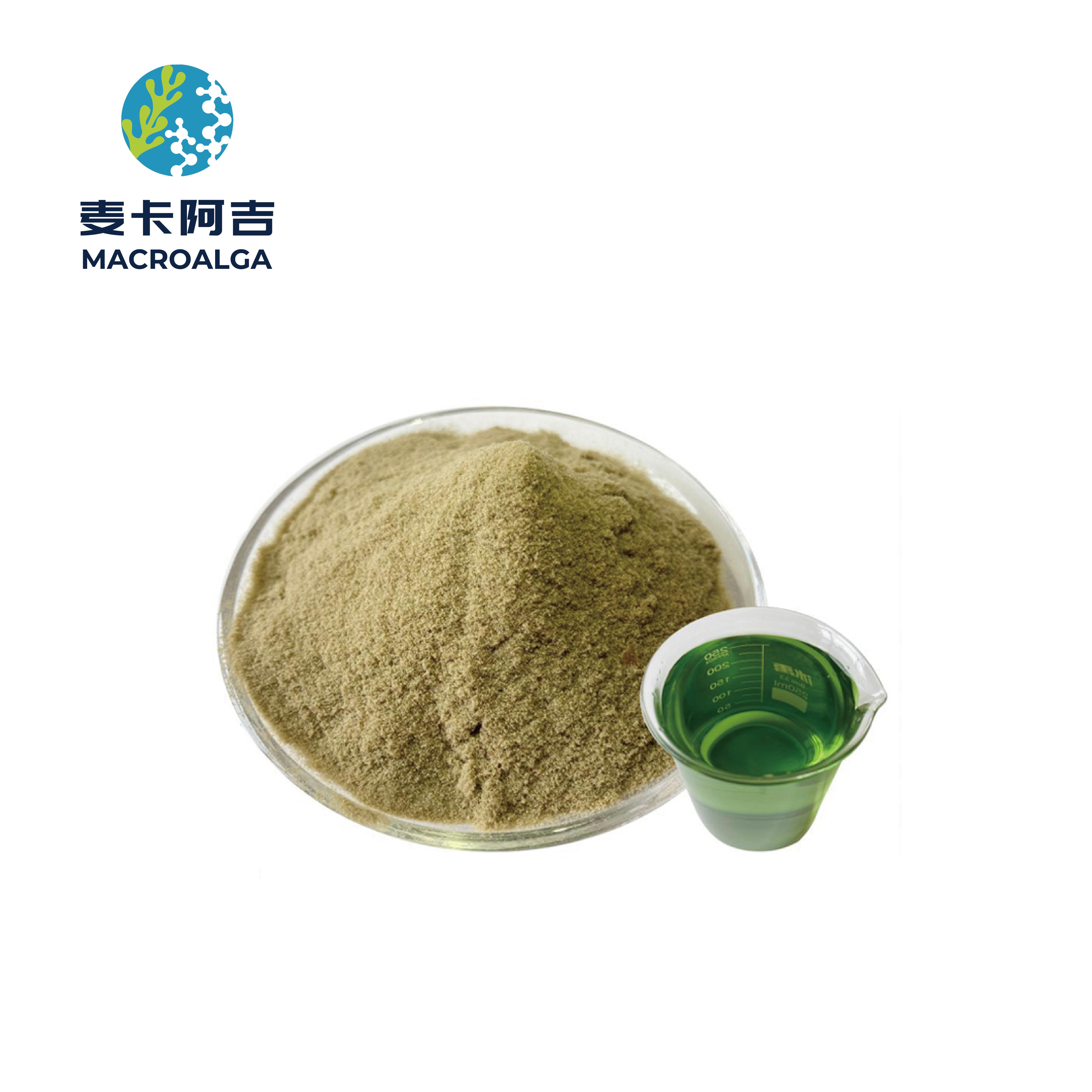Reliable Seaweed Fertilizer Supplier You Can Trust for Healthier Plants